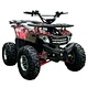 adult electric atv